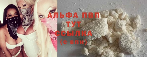 сатива Алексин