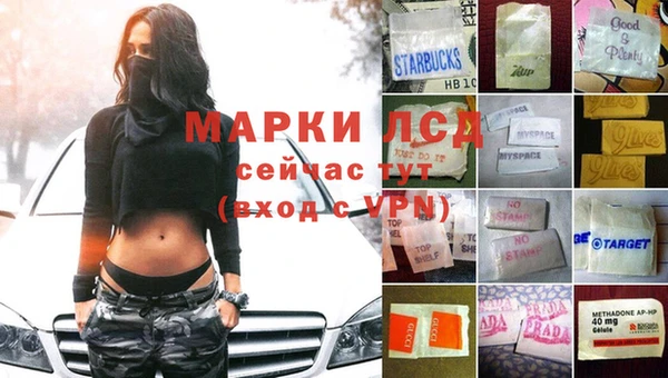 амф Алзамай